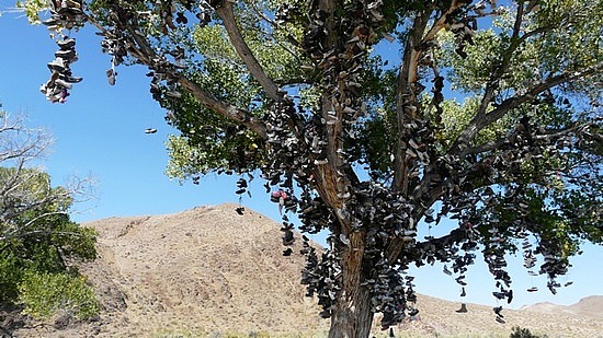 Shoe Tree