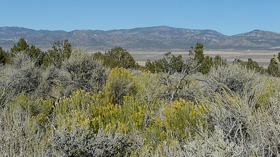 Scenery at Charcoal Ovens Area