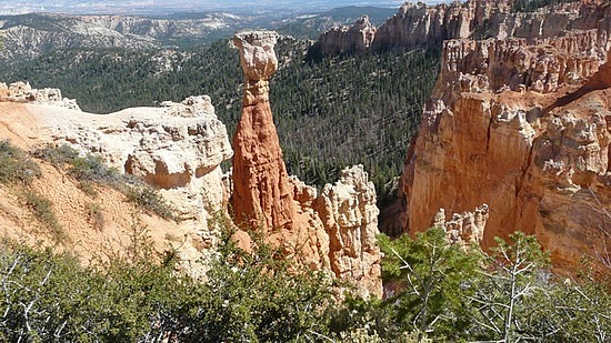 Ponderosa Canyon, Bryce