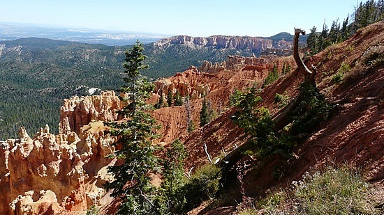 Ponderosa Canyon, Bryce