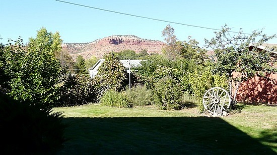 Back yard view