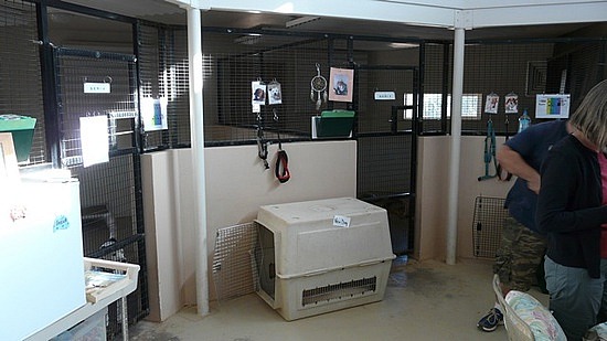 Interior of a typical dog building