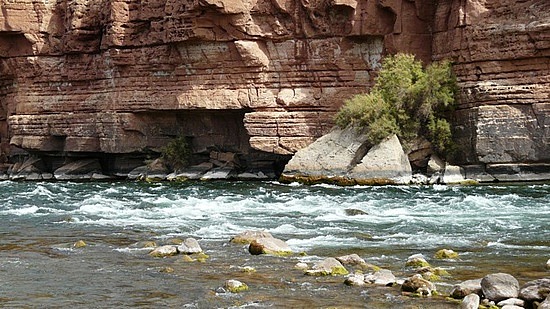 Lees Ferry & The Colorado River