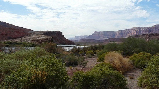 The Colorado River at Lees Ferry