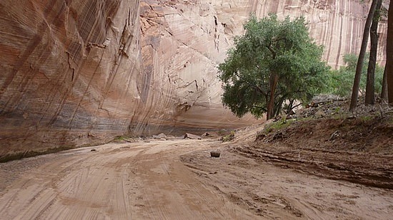 Driving through the Canyon