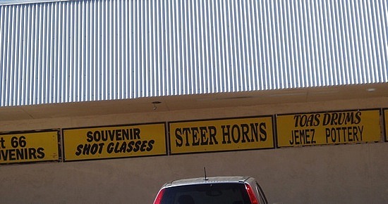 Steer Horns?  I Think Not!