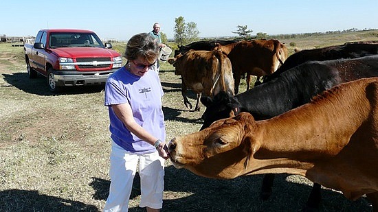 Feeding Protein Pellets