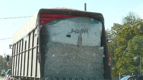 Cotton Bales On Way to Gin