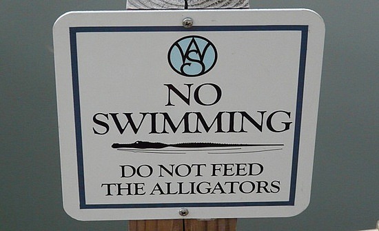 Don't Feed the Alligators