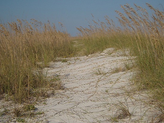 Dunes at St. George Island