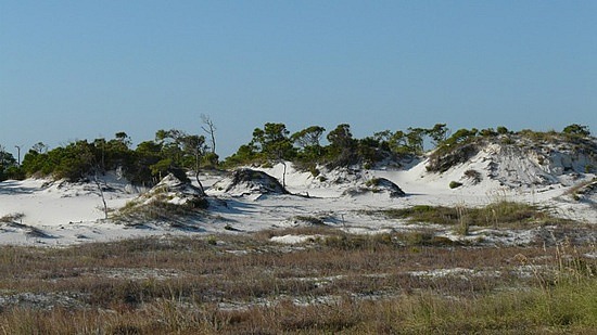 Dunes, St. George Island