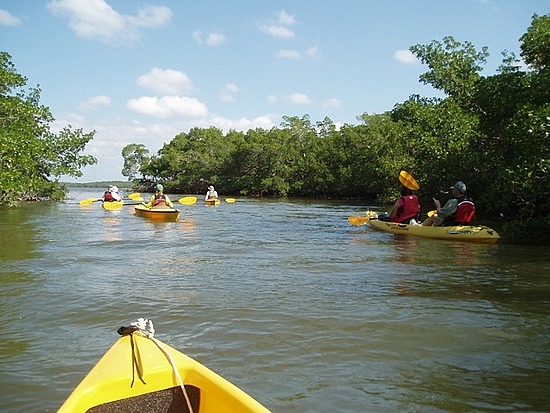 Our Kayaking Group