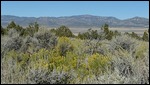 Scenery at Charcoal Ovens Area