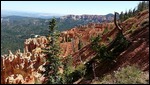 Ponderosa Canyon, Bryce