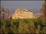 View from Cape Royal Drive