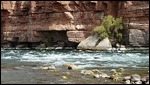 Lees Ferry & The Colorado River