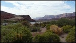 The Colorado River at Lees Ferry