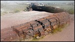 Logs at Petrified Forest