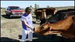 Feeding Protein Pellets