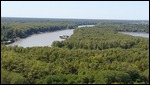 Mississippi River from Vicksburg hills