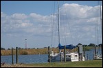 Apalachicola River