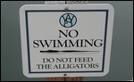 Don't Feed the Alligators