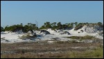 Dunes, St. George Island