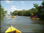 Our Kayaking Group