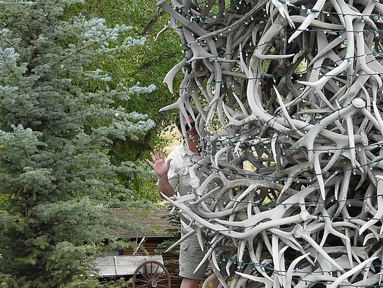 Mark Hiding in Antlers