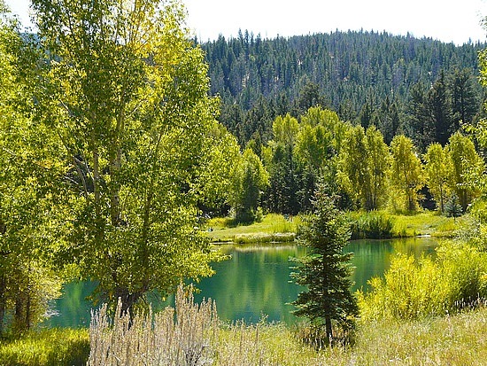 Gros Ventre Loop Drive