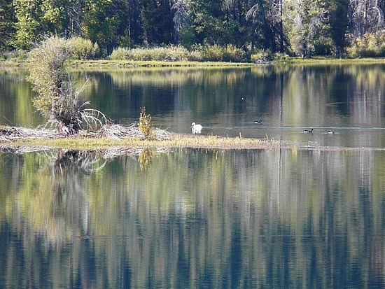 Oxbow Bend