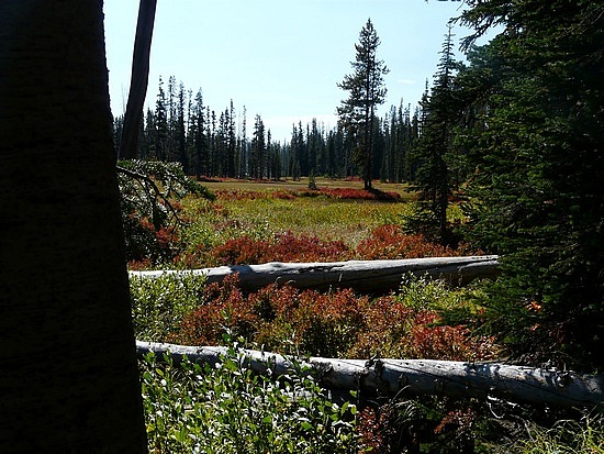 Grand Teton National Park 