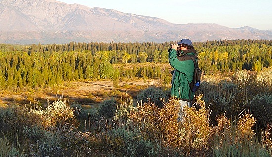 Mark Looking for Moose