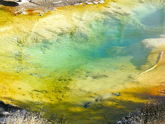 West Thumb Hot Spring