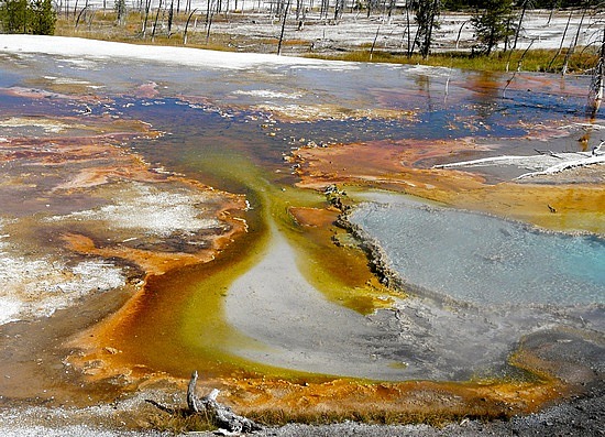 Firehole Lake Drive