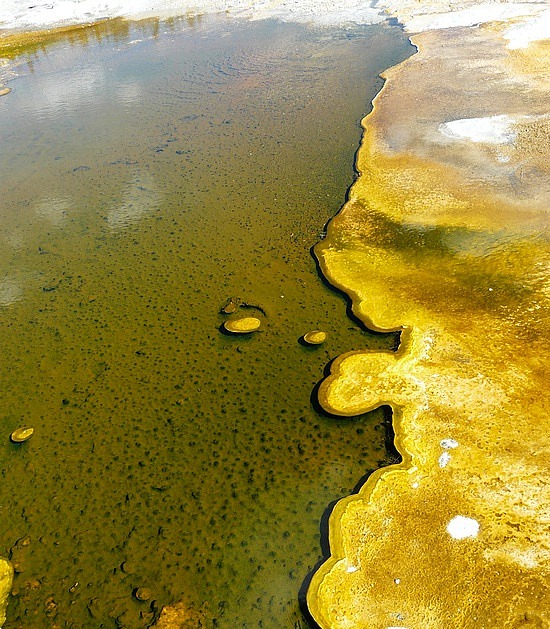 Gorgeous Geothermal Activity