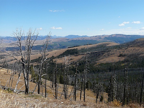 Signs of 1988 Fire