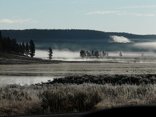 Foggy Morning