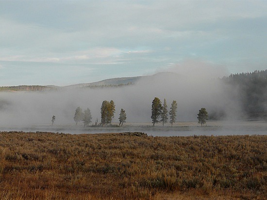 Foggy Morning