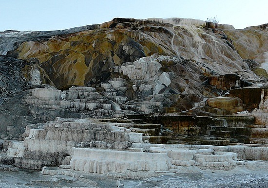 Mammoth Hot Springs