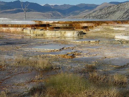 Mammoth Hot Springs