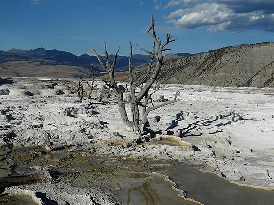 Mammoth Hot Springs