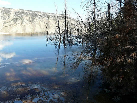 Mammoth Hot Springs