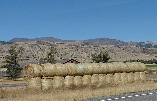 Rolls of Hay in Montana Countryside