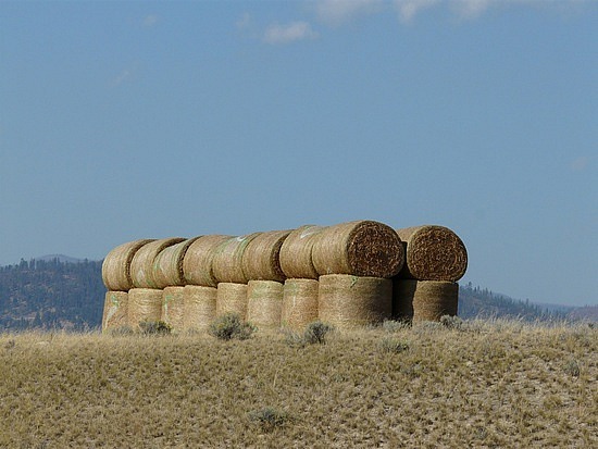 Montana Countryside