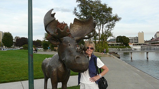 Hugging a Moose in Coeur d'Alene