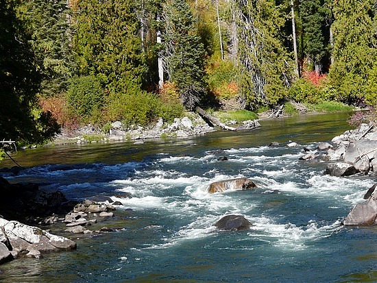 Driving through the Cascades