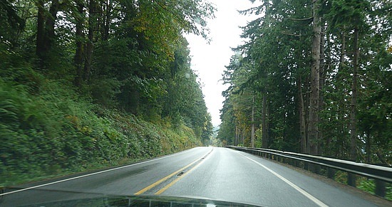 Driving Olympic Peninsula