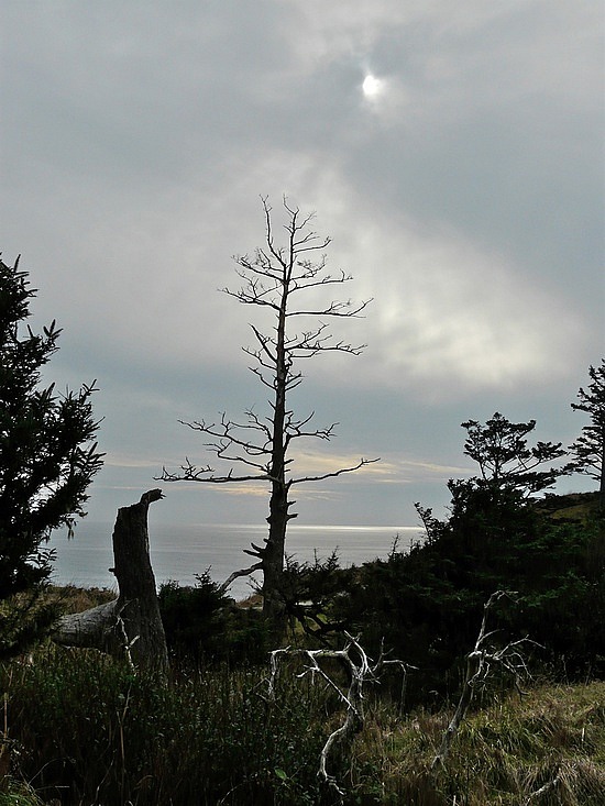 Ecola State Park