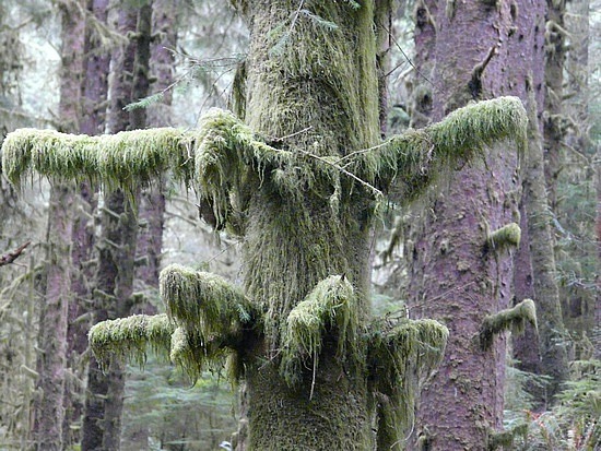 Ecola State Park